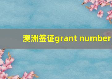 澳洲签证grant number